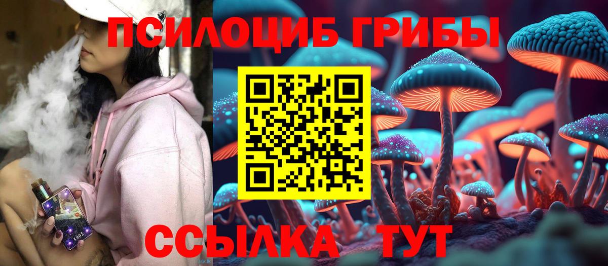 Псилоцибиновые грибы мицелий Дзержинский