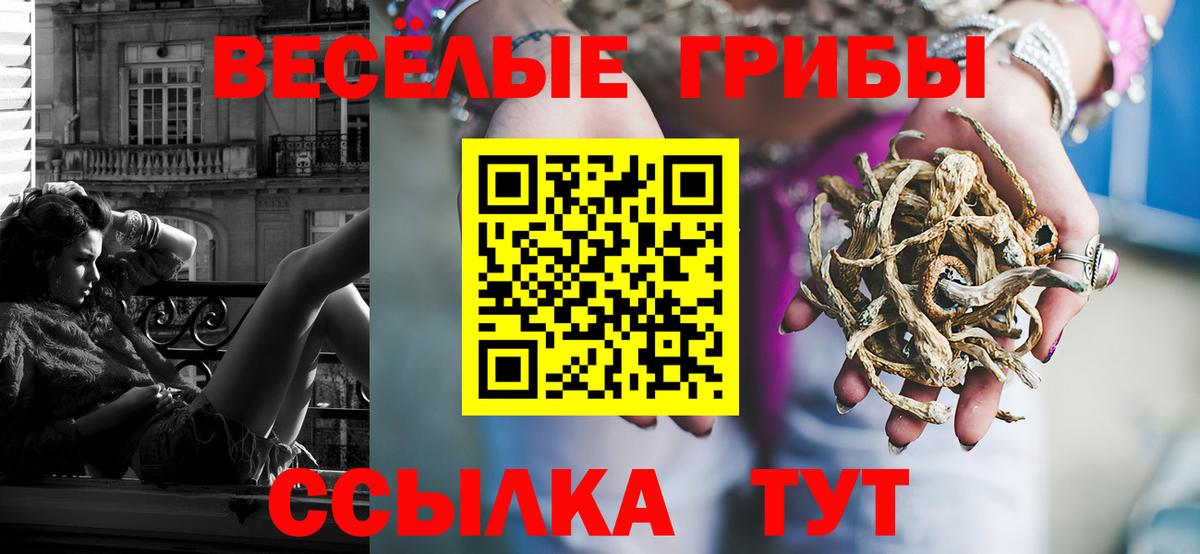 Дзержинский  Псилоцибиновые грибы Cubensis  Галлюциногенные грибы мицелий  Вход с VPN 